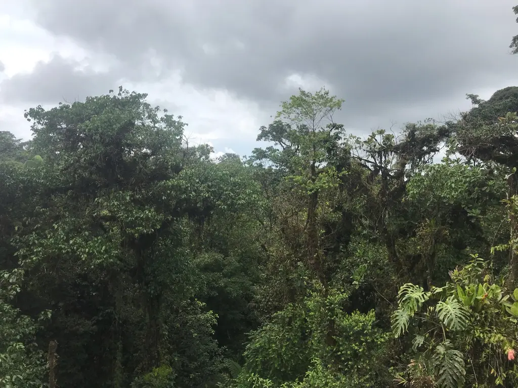 Paquera: reisgids en ervaring in Costa Rica