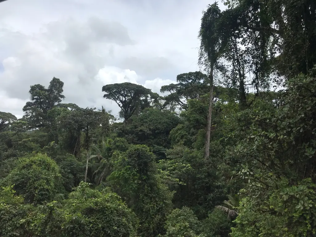 Paquera