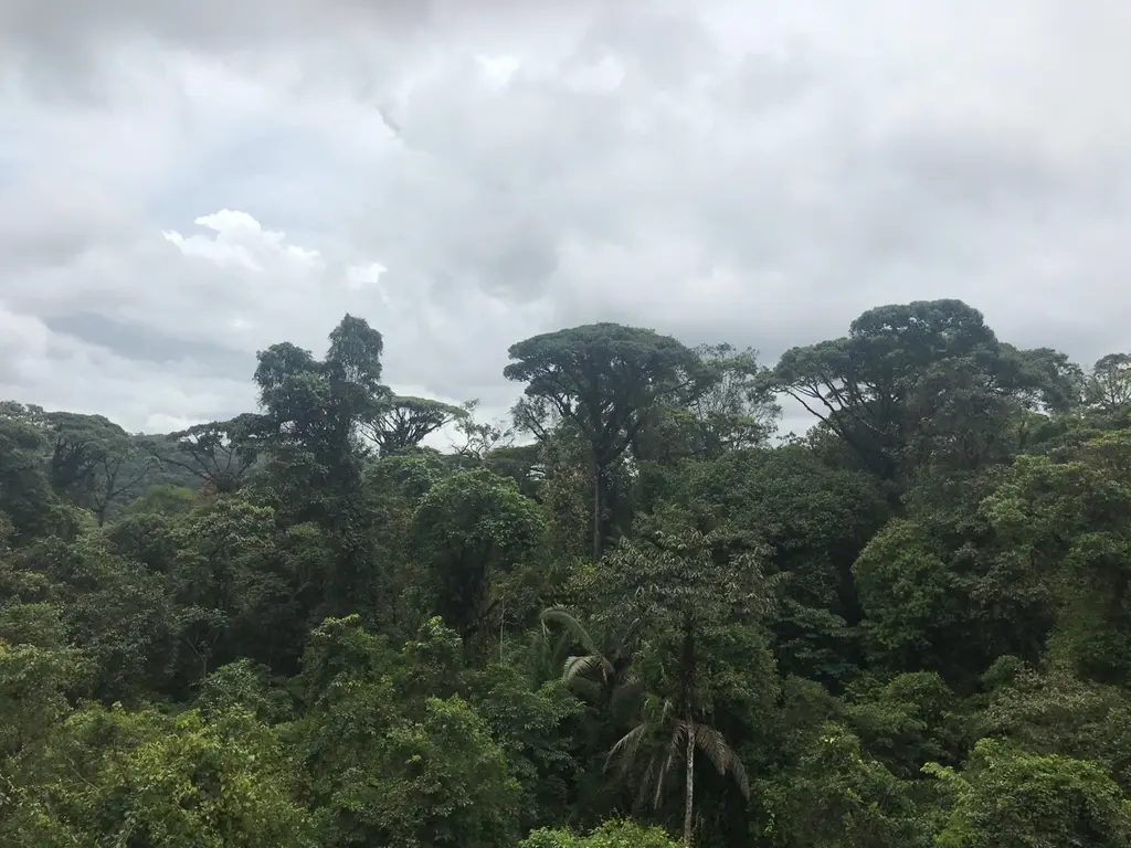 Paquera