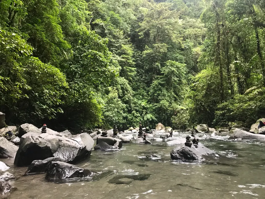 Tortuguero