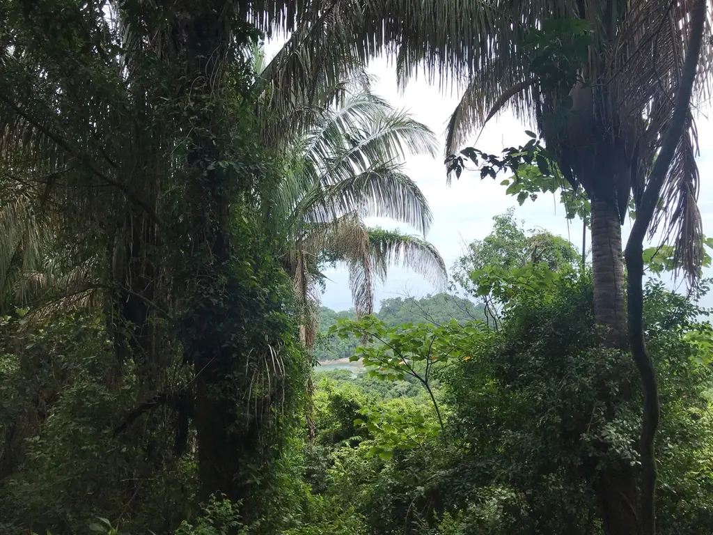 Quepos