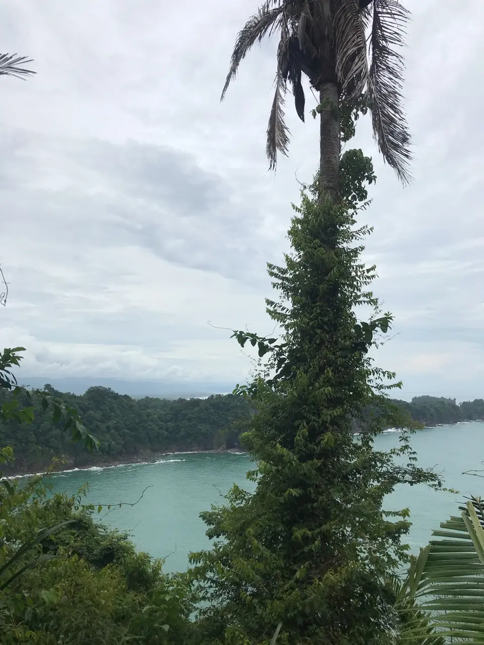 Quepos
