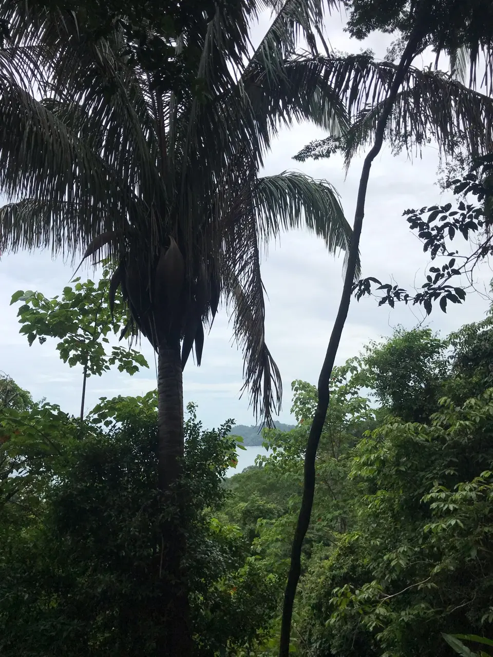 Quepos