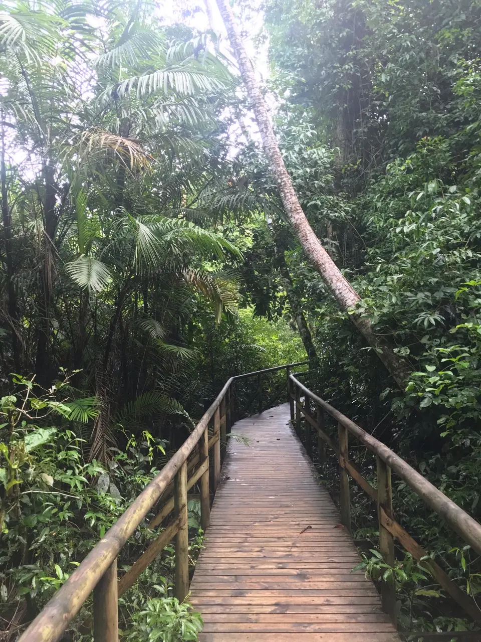 Quepos