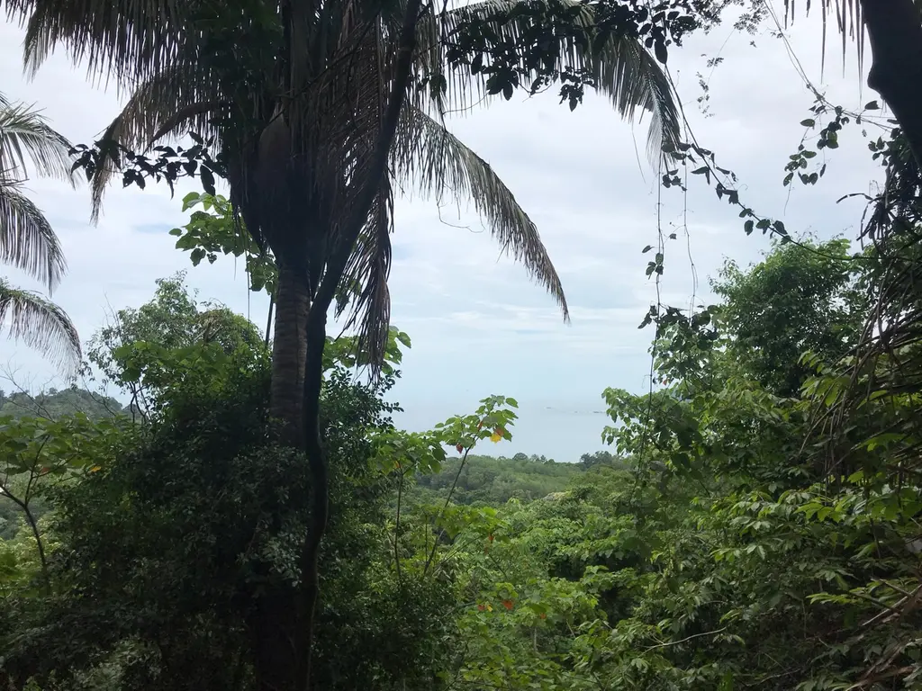 Quepos