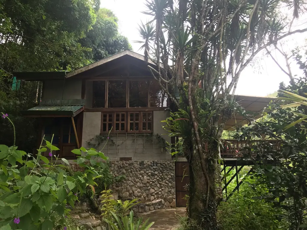Tortuguero