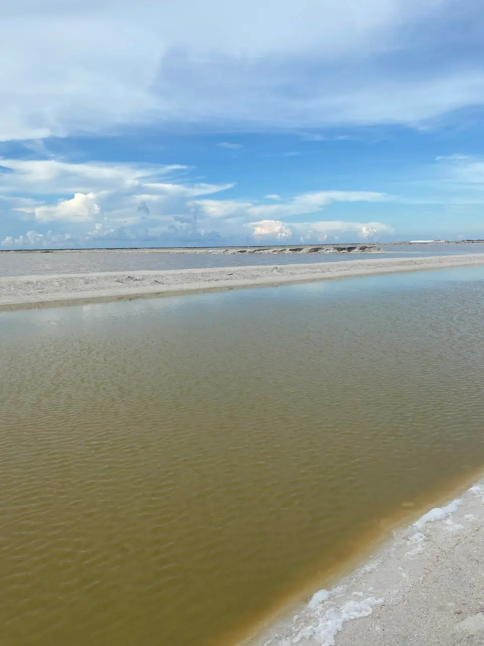 Rio lagartos