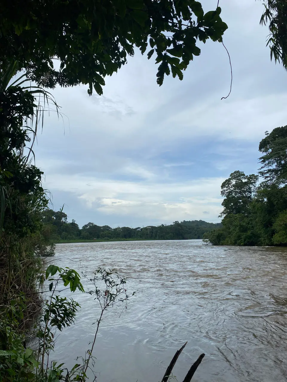 Cutris: reisgids en ervaring in Costa Rica