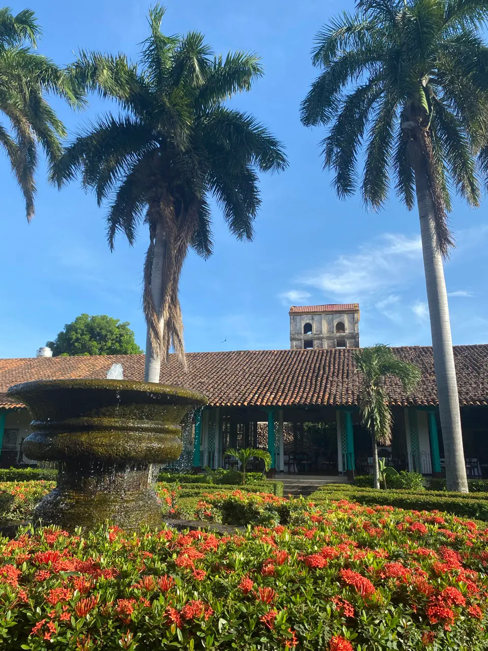 Las penitas