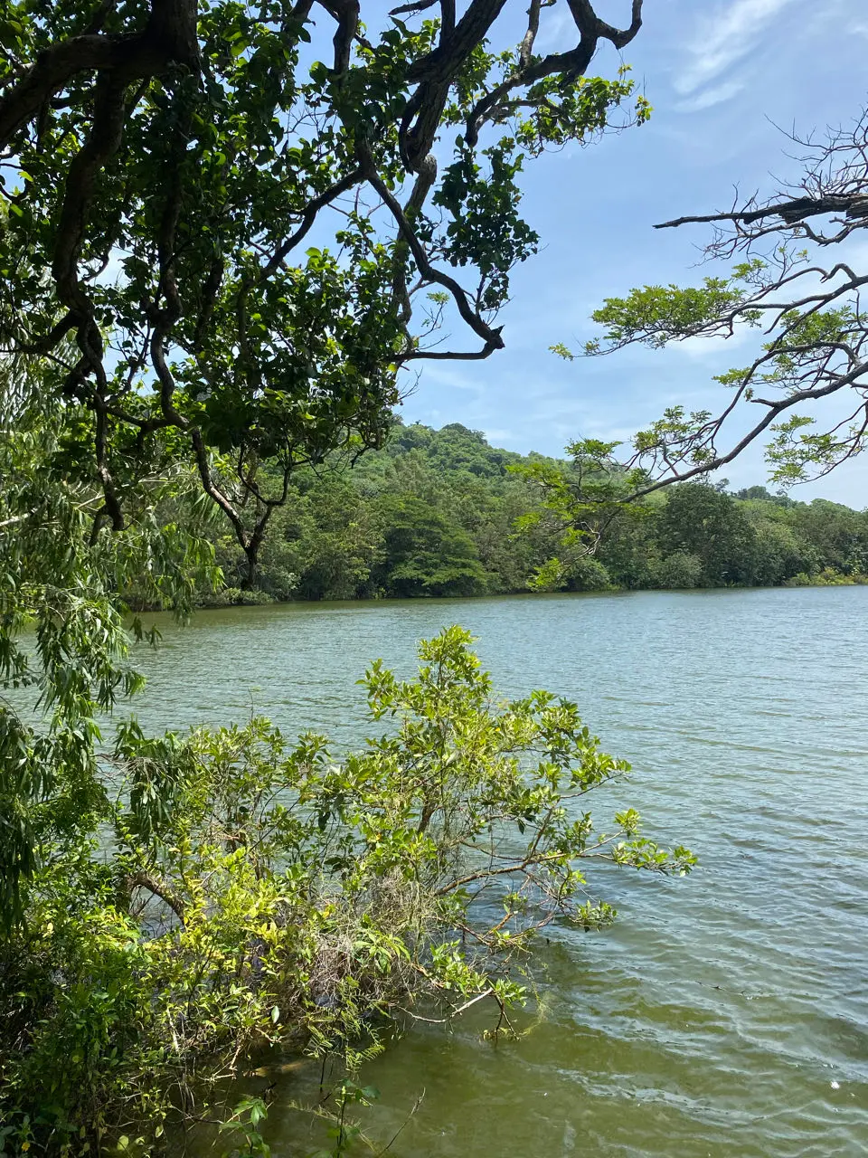 Altagracia