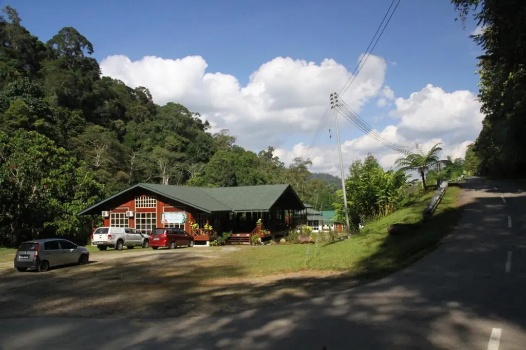 Palau manukan