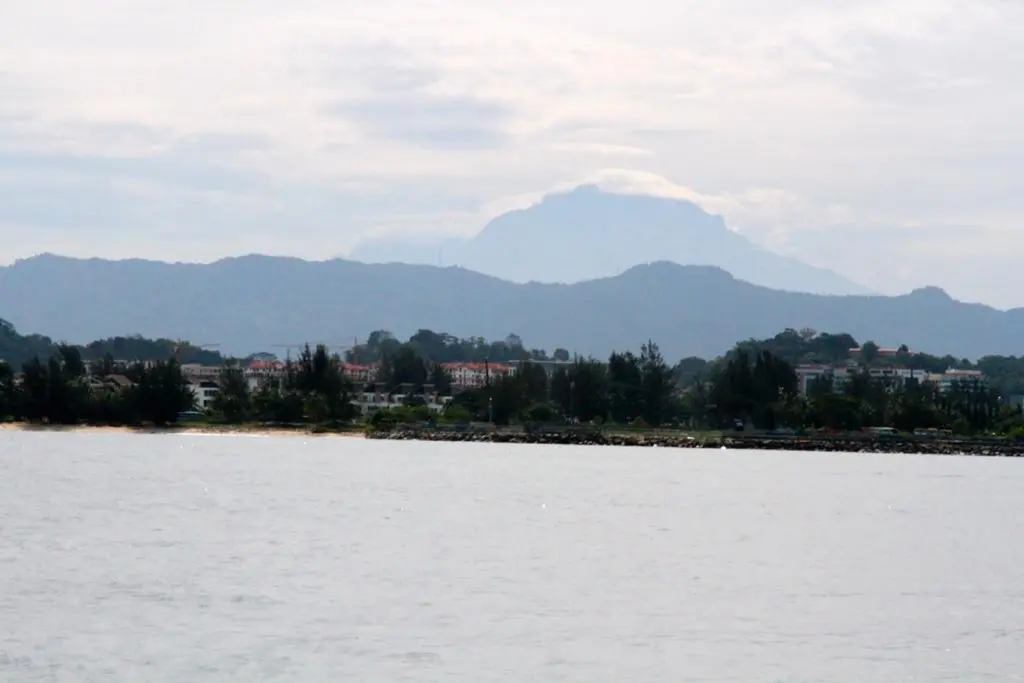 Bako