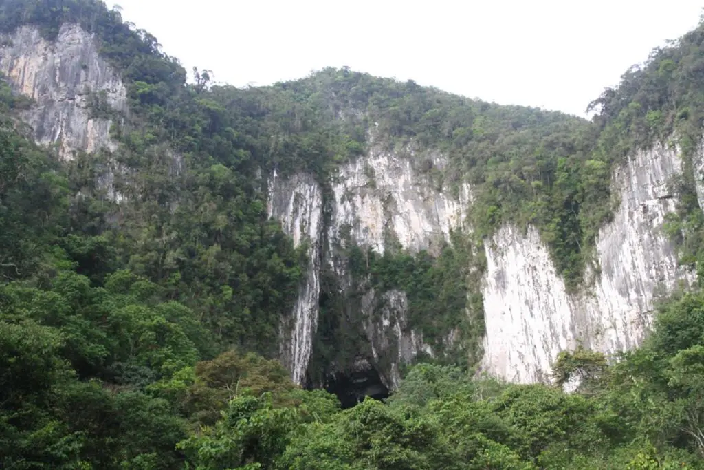 Borneo highlands