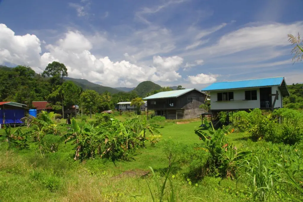 Borneo highlands