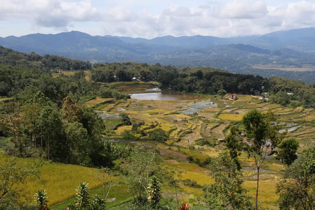 Rantepao