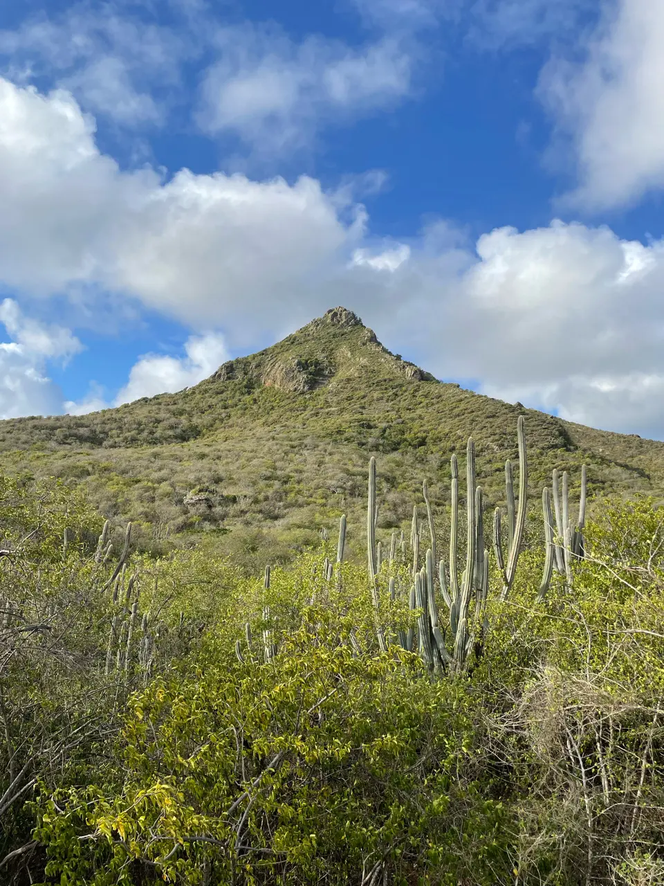 Christoffel National Park