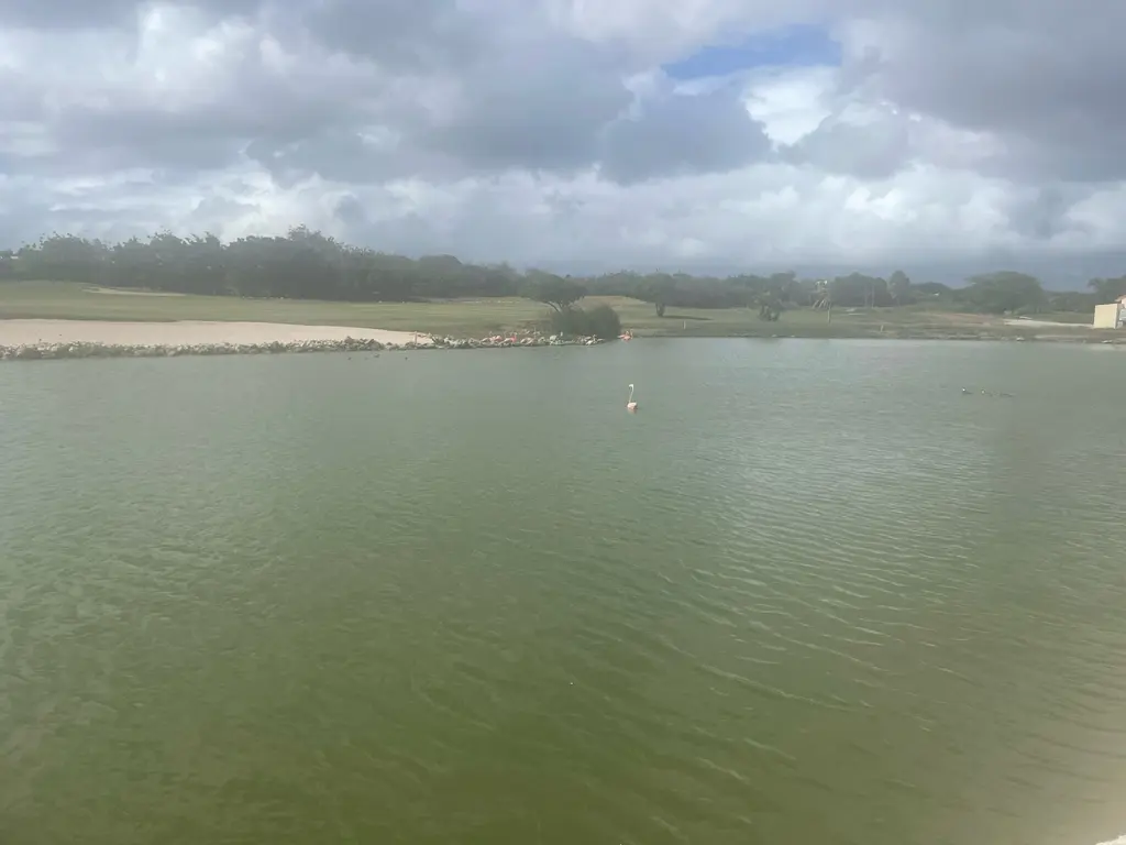 Blue Bay Beach Parking