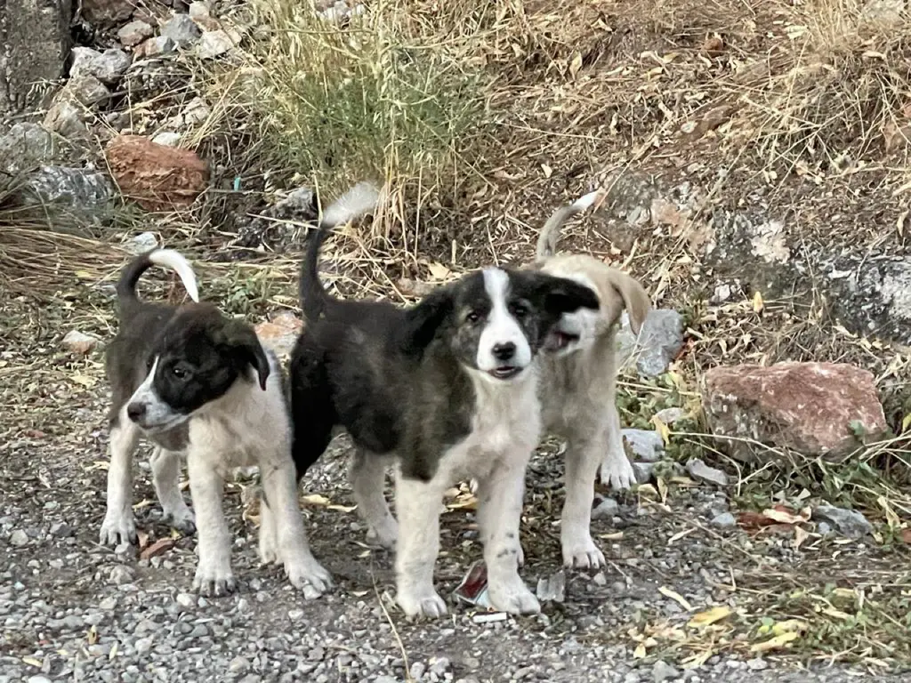 Central Greece