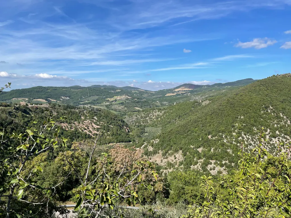 Assisi
