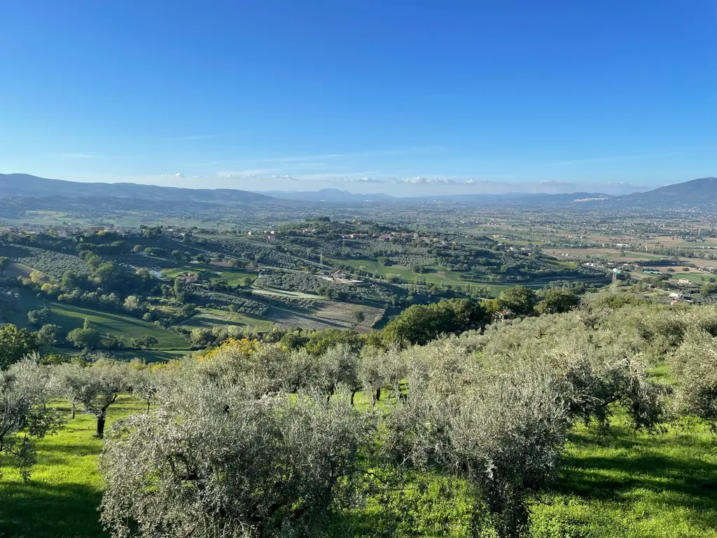Montefalco
