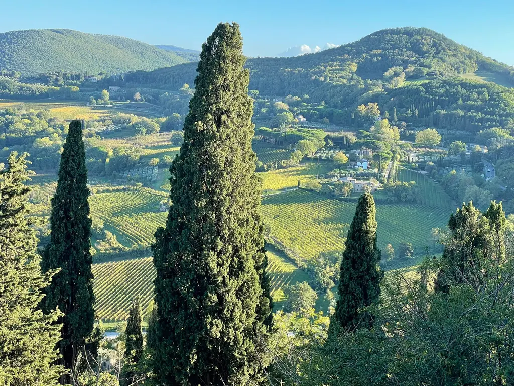 Montepulciano