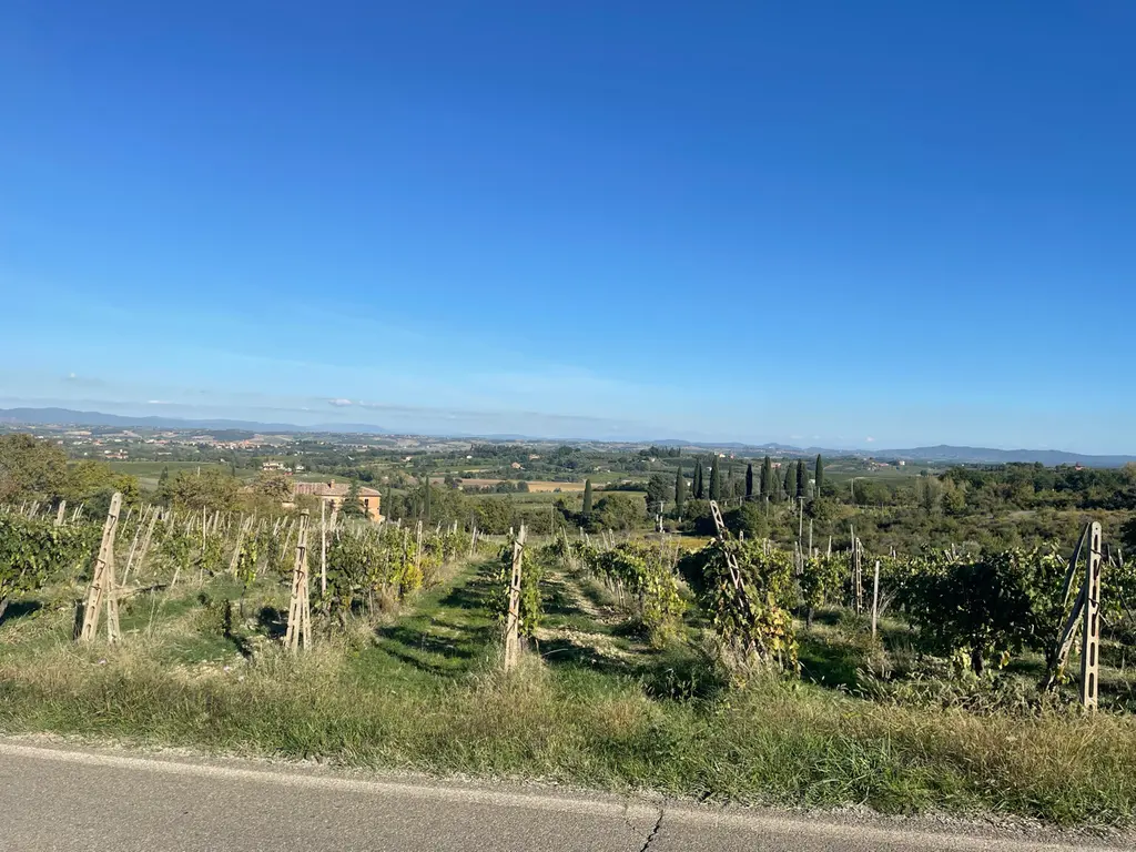 Montepulciano