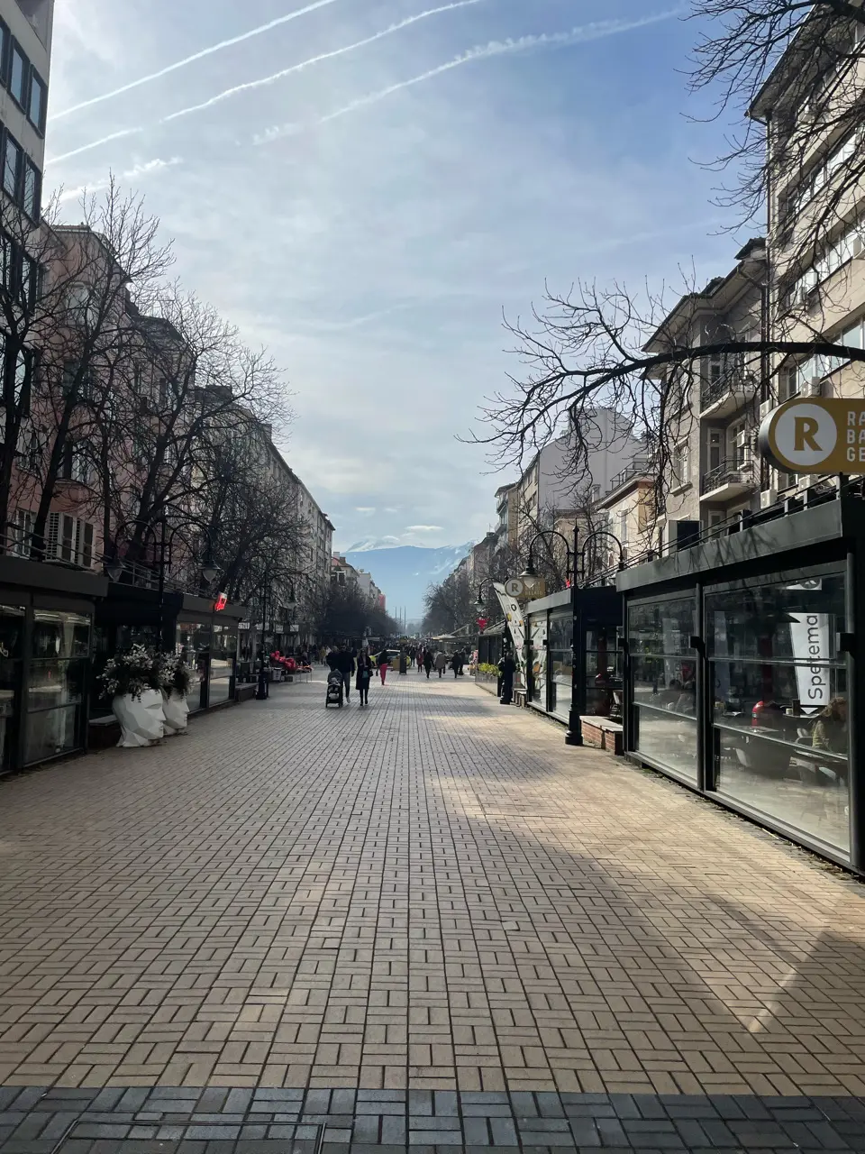 Sofia