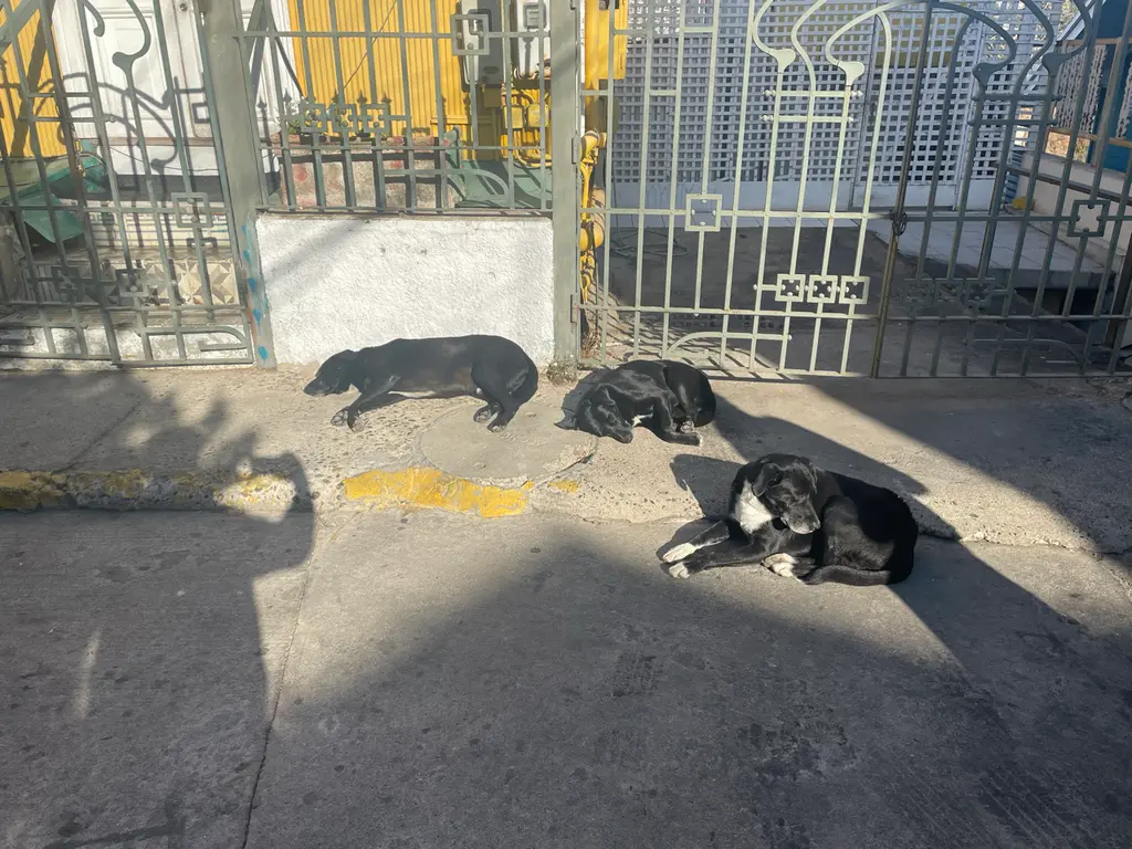 Valparaiso