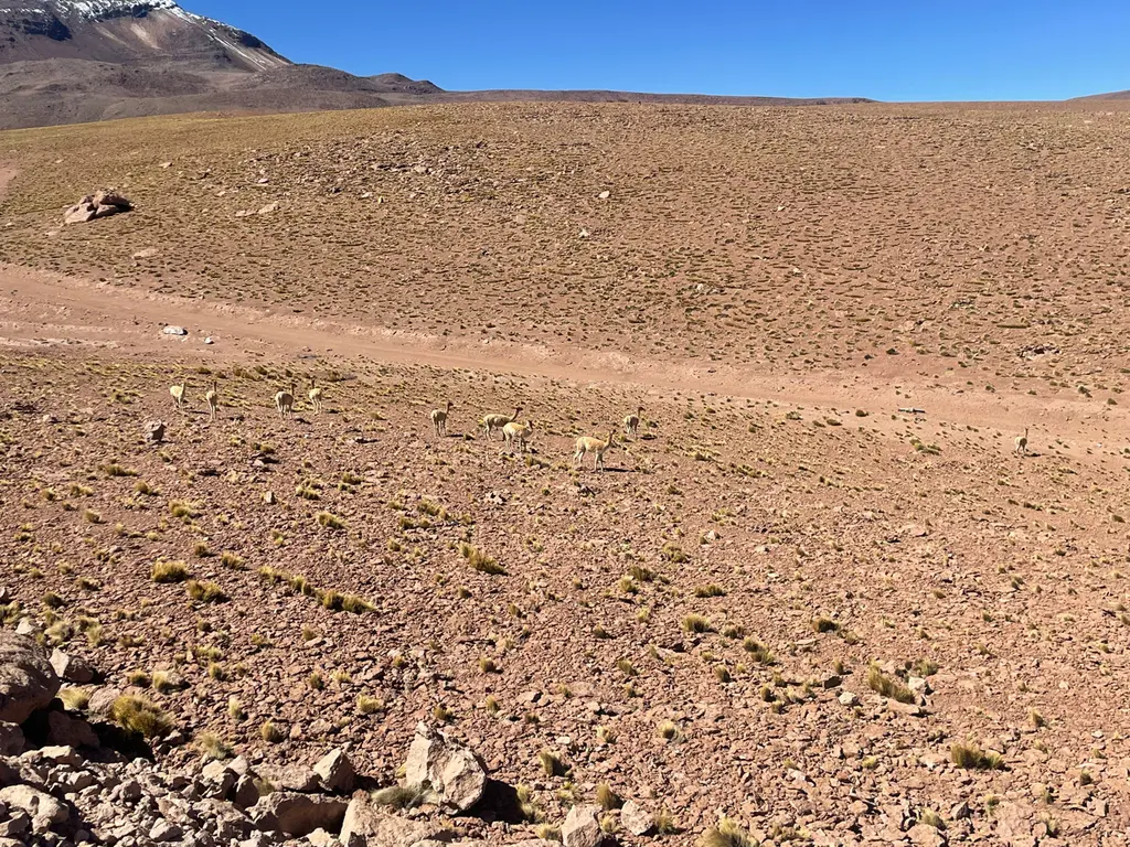 El Loa