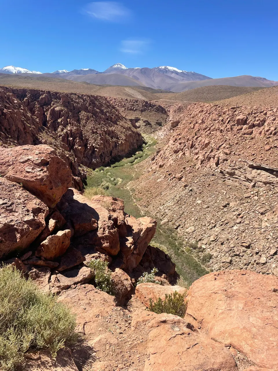 Calama