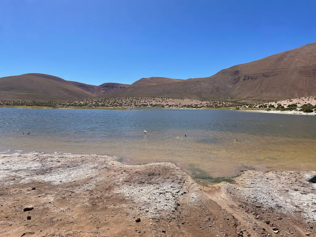 Calama