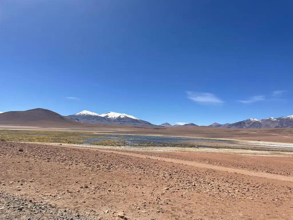 Calama