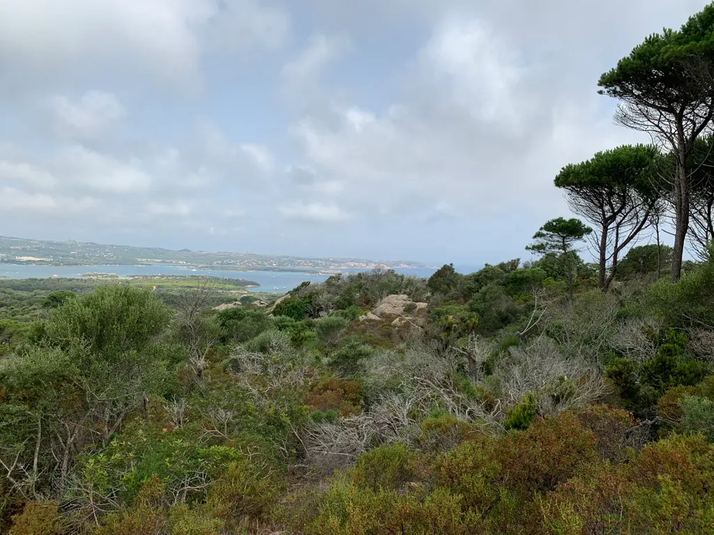 La Maddalena