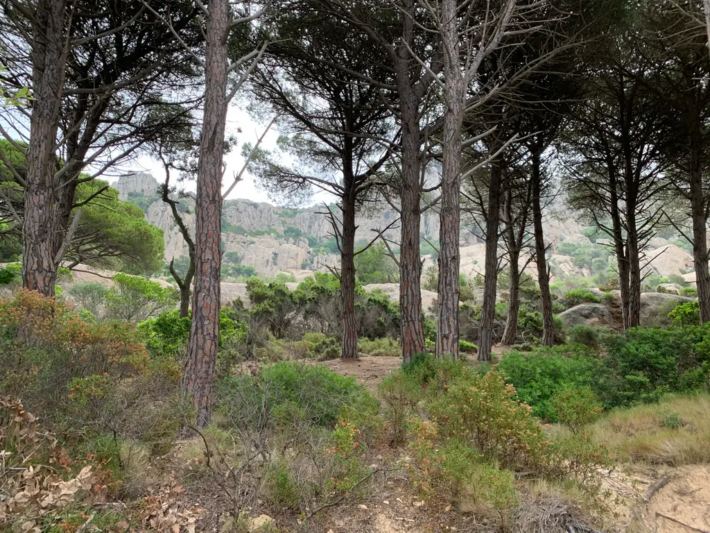 La Maddalena