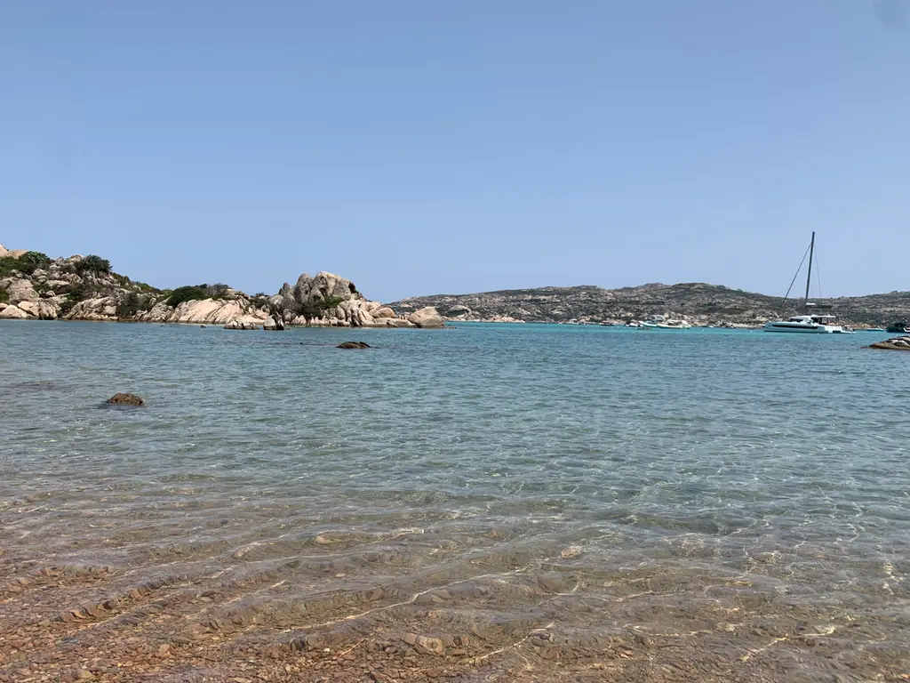 Terranova