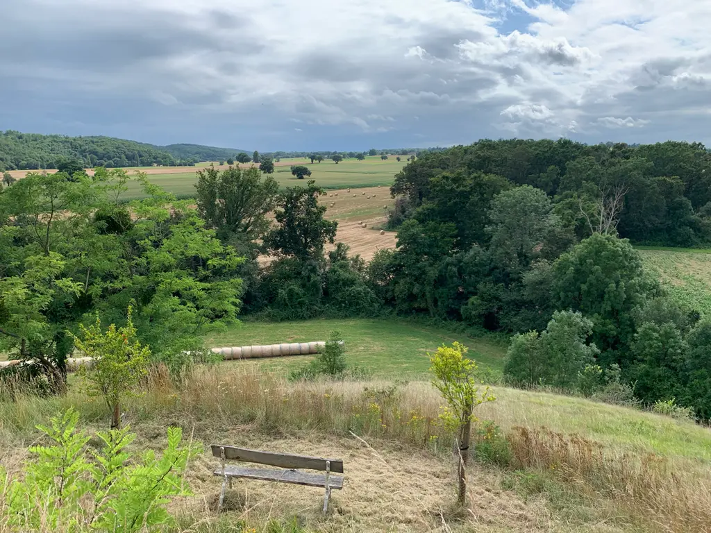 Lalanne-Arqué