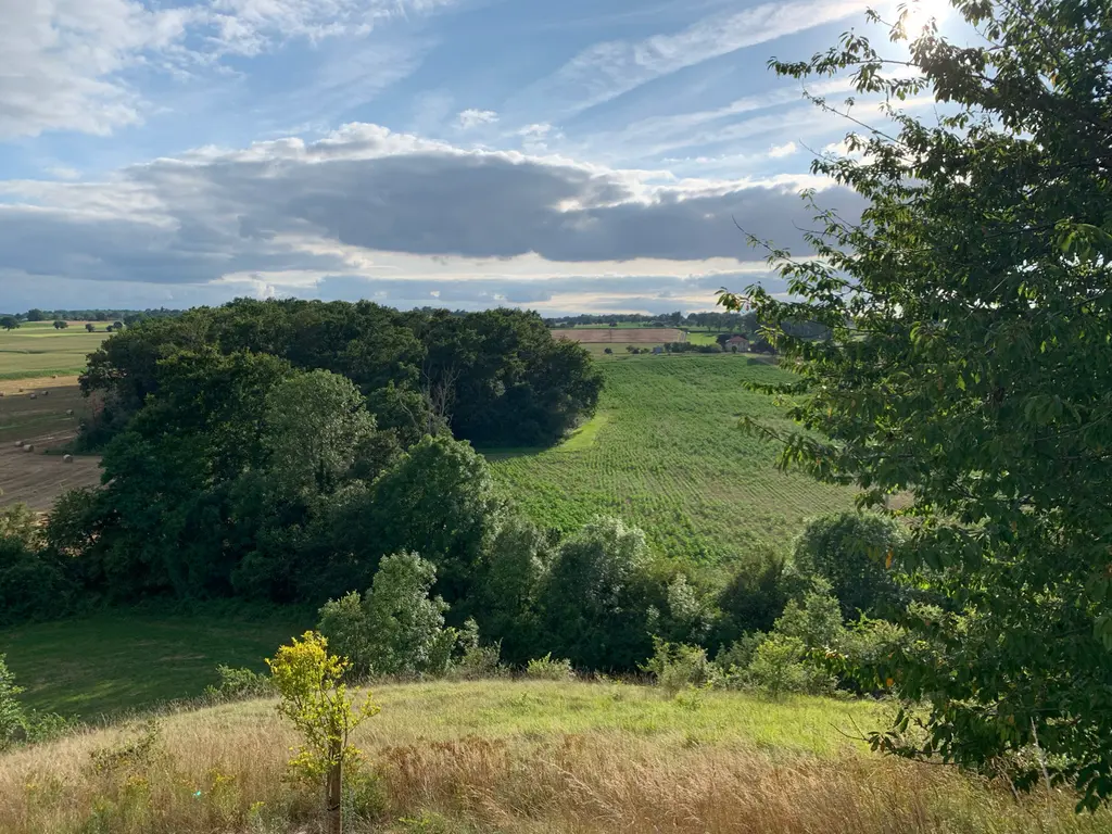 Lalanne-Arqué