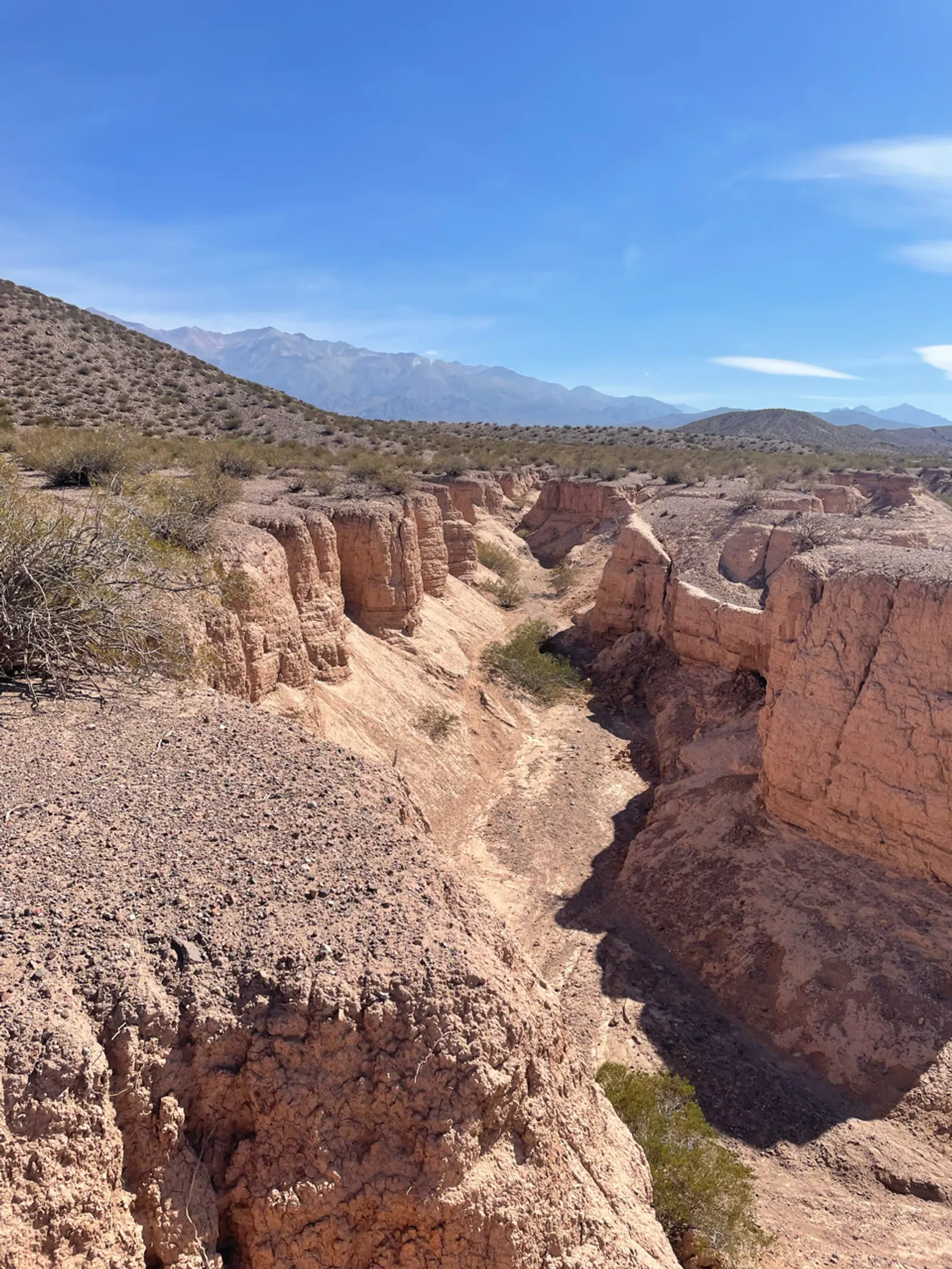 Uitgesleten canyon in het droge landschap rond Uspallata