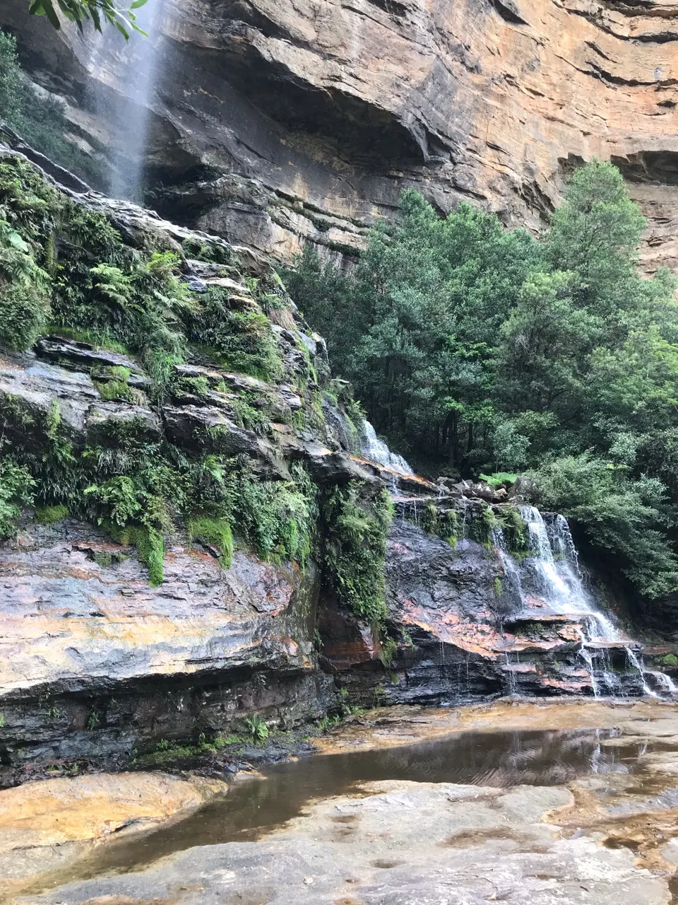 Een waterval tussen de rotsen en varens in de Blue Mountains