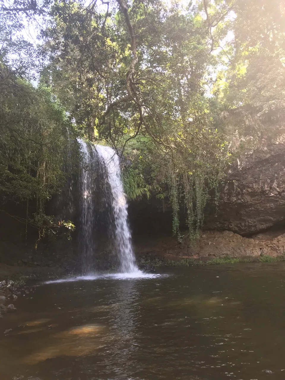 Een waterval in het groen bij Byron Bay onderweg naar Nimbin