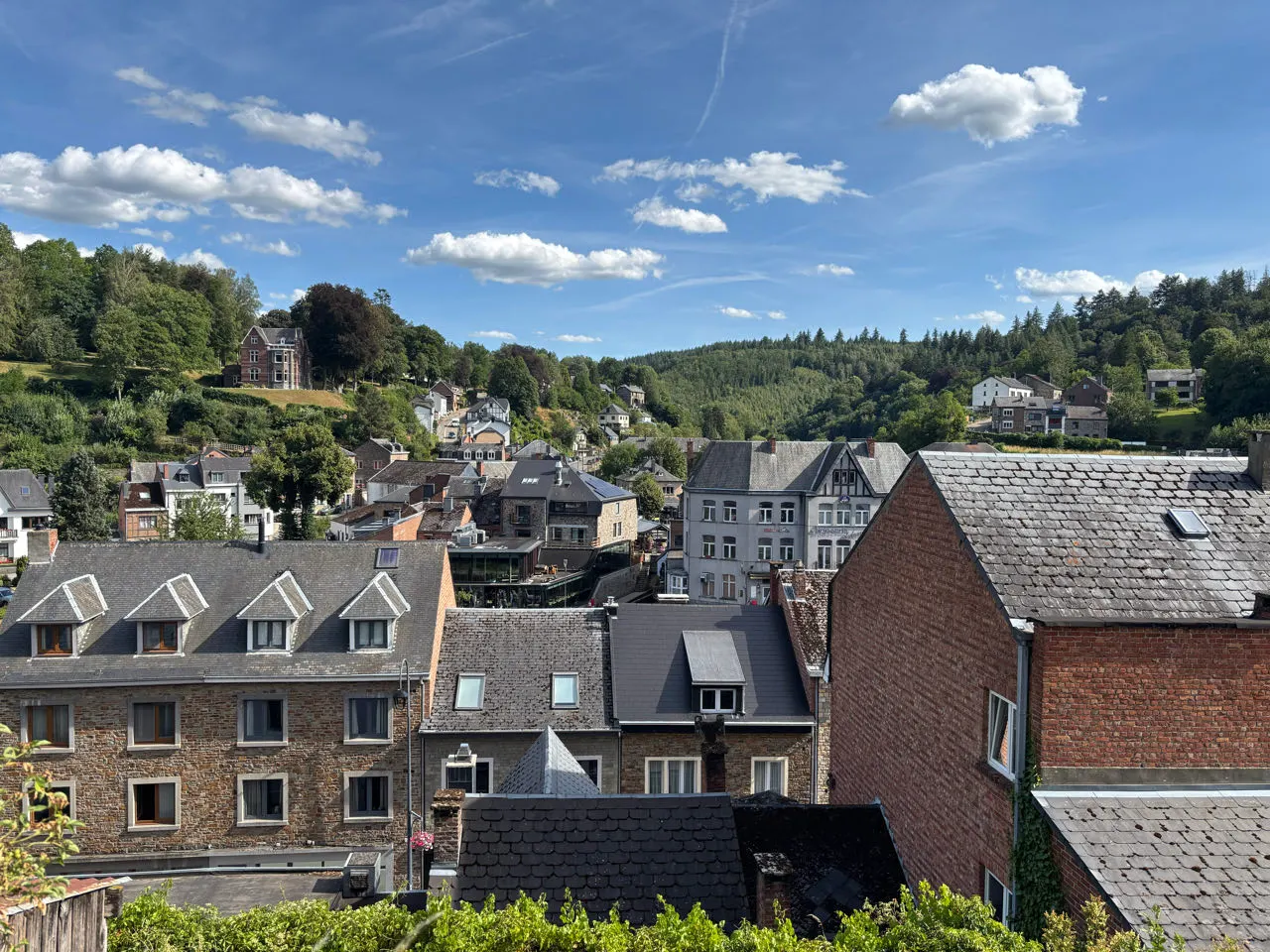 Uitzicht over de daken van La Roche-en-Ardenne met de beboste heuvels erachter
