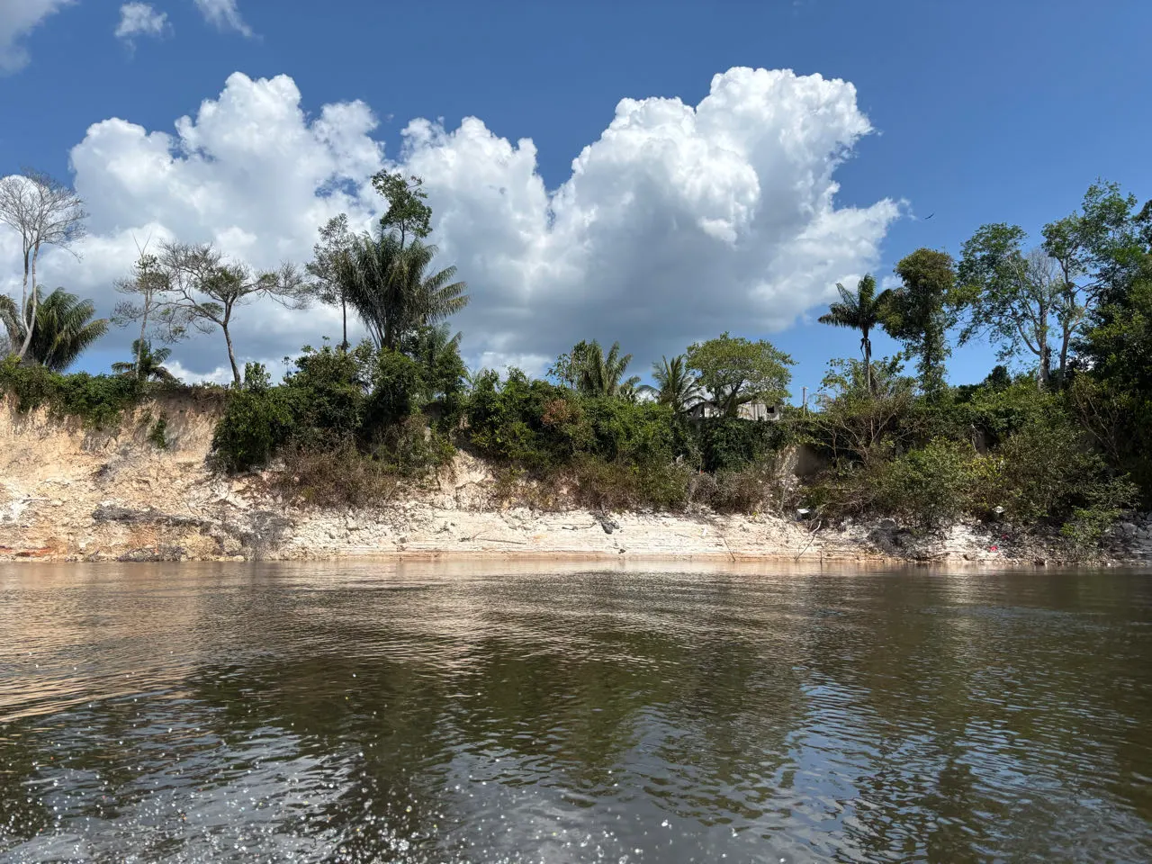 Rivieroever met regenwoud en stapelwolken in de Amazone