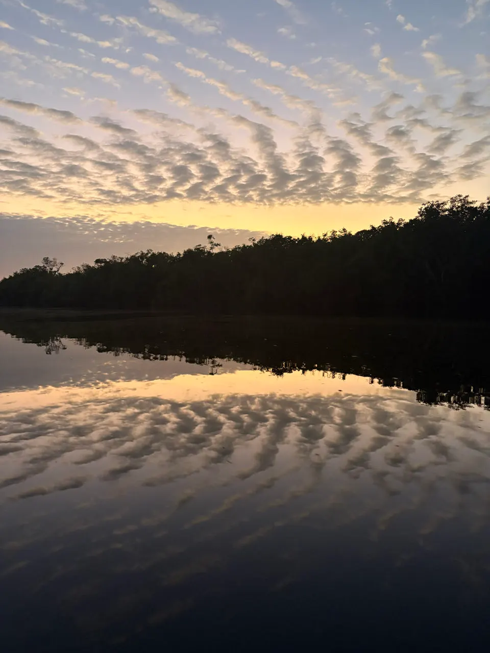 Wolken die weerspiegelen in het spiegelgladde water van een Amazonerivier