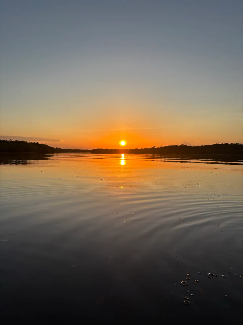 De zon zakt boven de rivier de Urubu in de Amazone met reflectie in het water