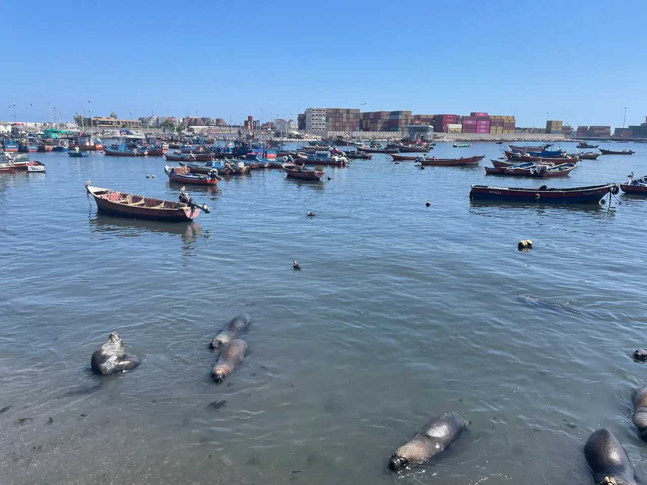Vissersbootjes in de haven van Iquique met de stad op de achtergrond