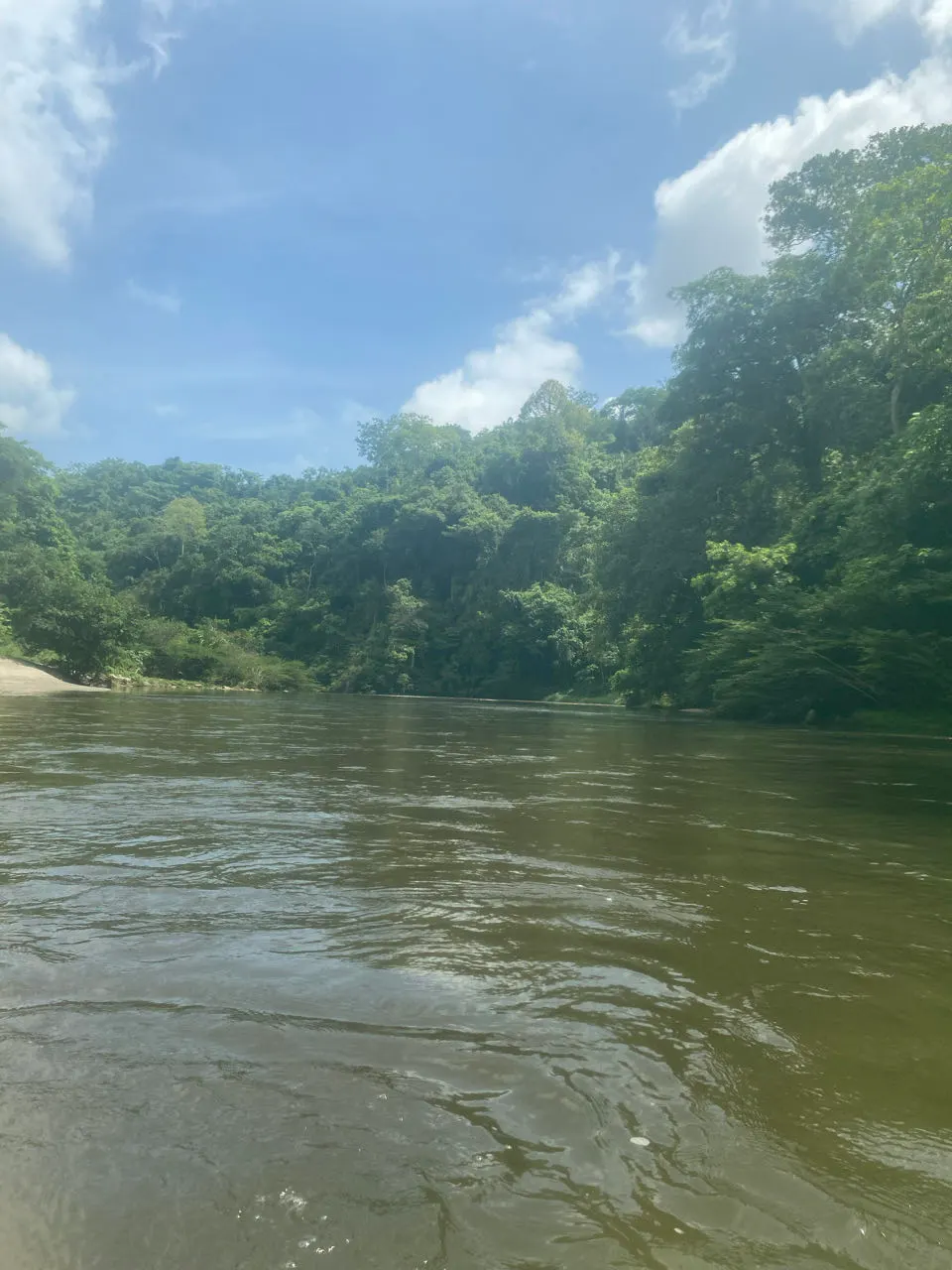 Een rivier door de jungle waar je kunt tuben bij Palomino