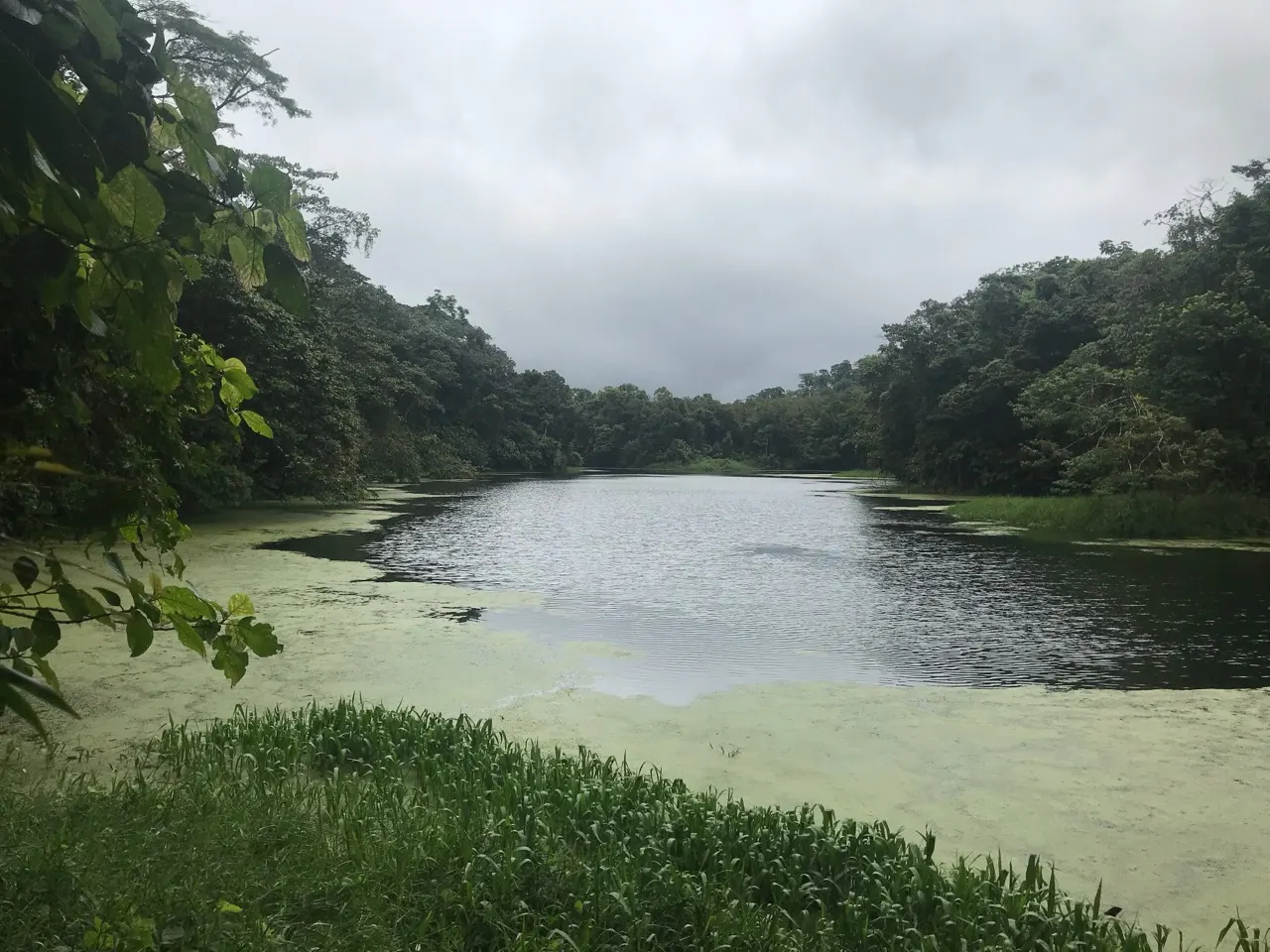 Een rustig meertje omringd door groen tijdens een wandeling bij de Arenal