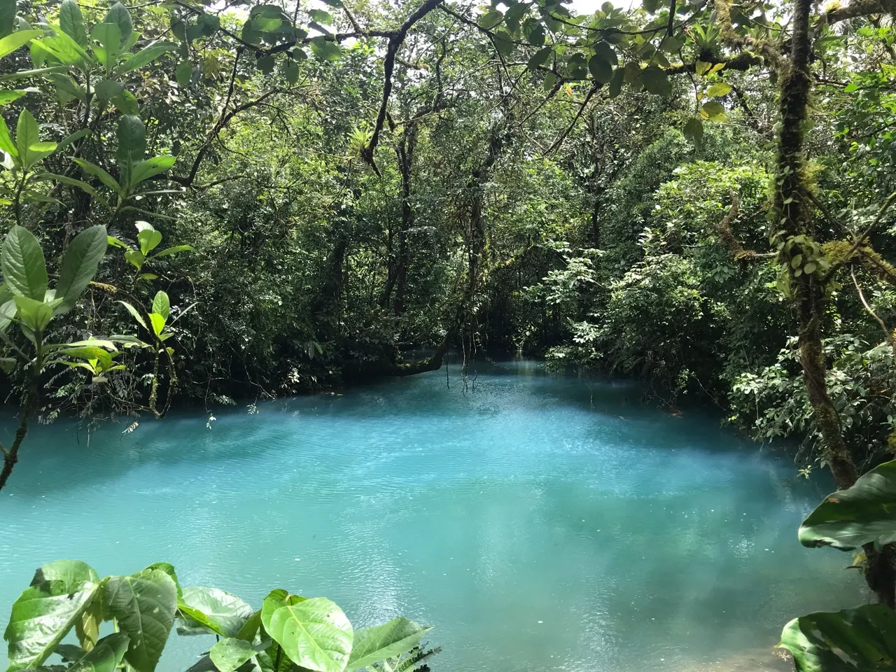 De turquoise blauwe lagune van Río Celeste tussen het groen