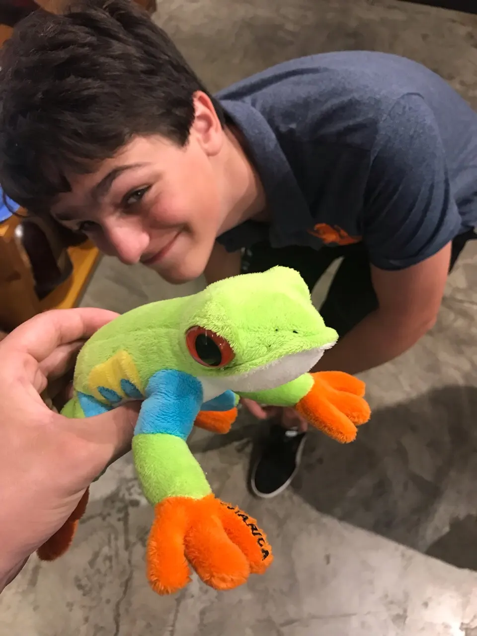 Een kleurrijke roodoogmakikker met felle poten in Costa Rica