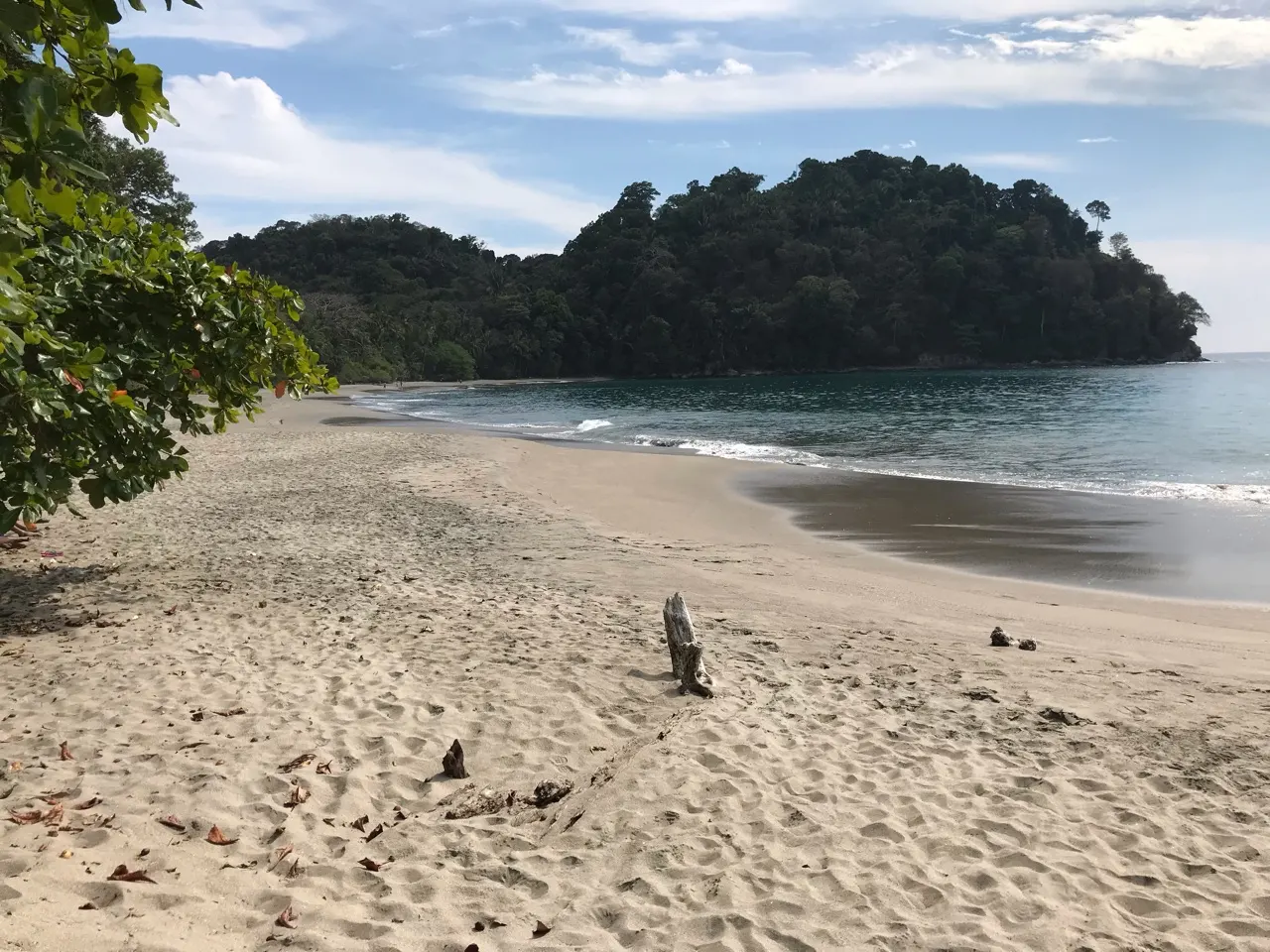 Het strand van nationaal park Manuel Antonio met jungle tot aan de zee